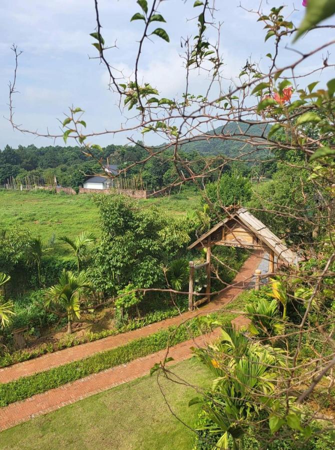 Nhà Duối Hotel Son Tay Exterior foto